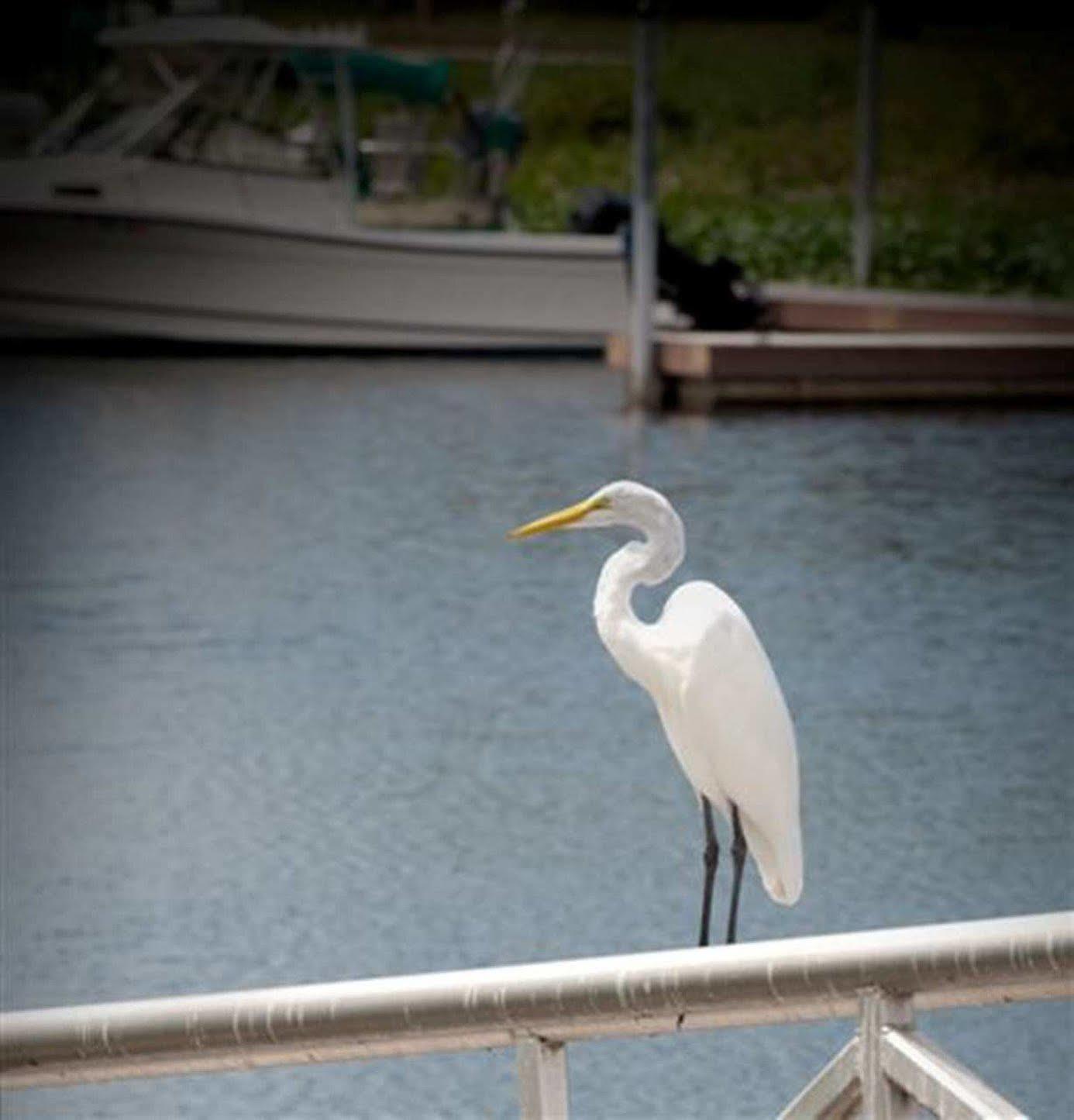 Hampton Inn Okeechobee - Lake Okeechobee Eksteriør bilde
